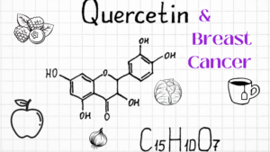 Quercetin Breast Cancer