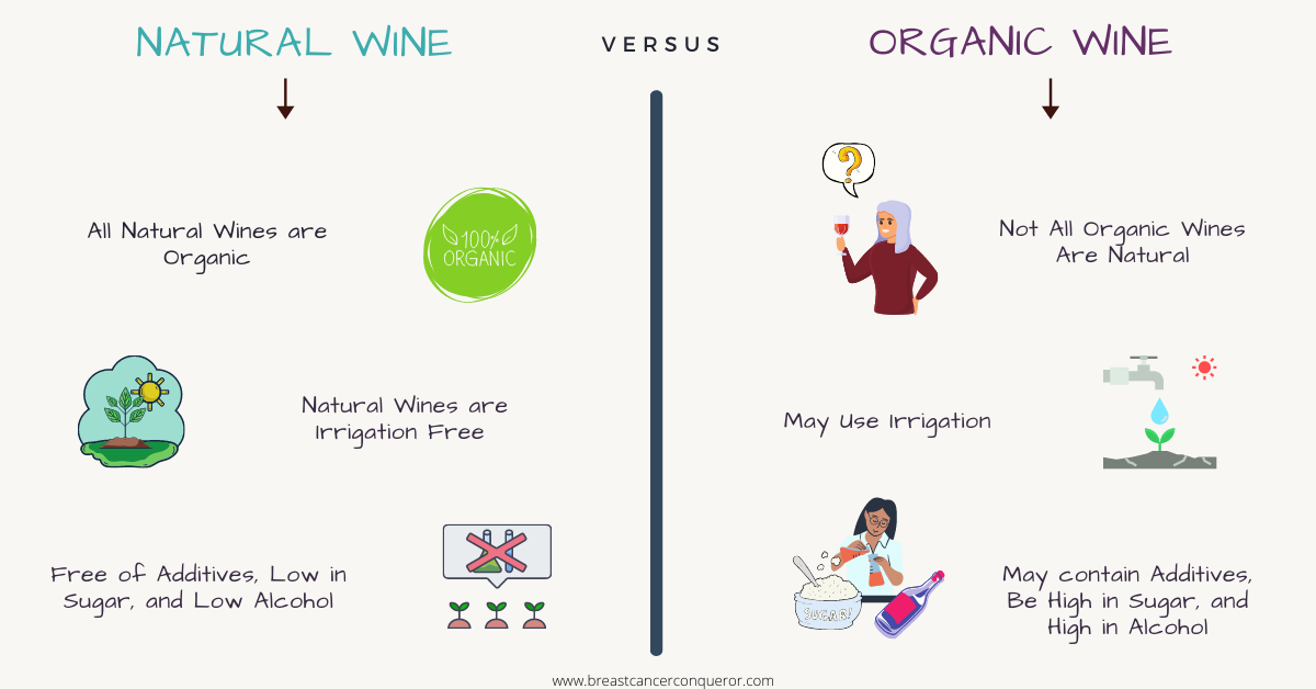 Natural Vs Organic Wines